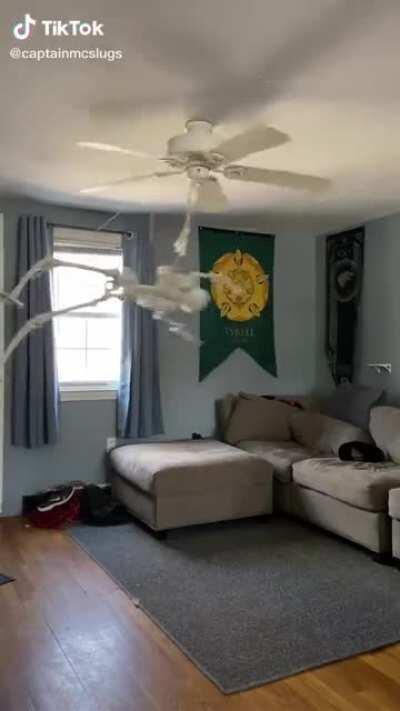 Spooky fan every day