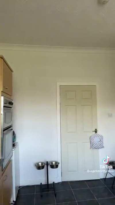 @egirlidentitycrisis