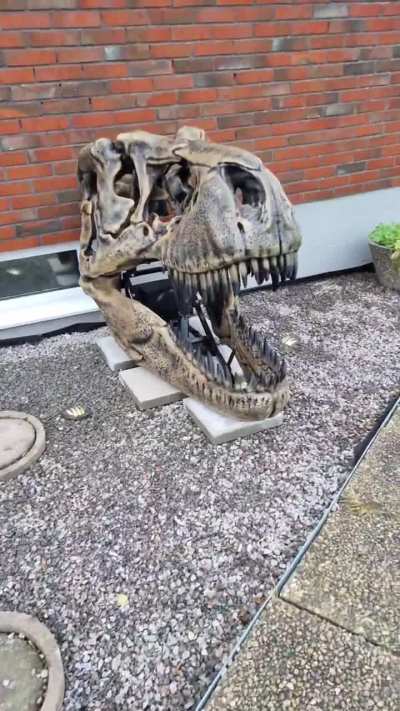 My 3d printed T-rex skull finally outside and works!