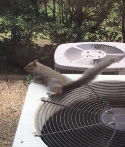 Cooling off the balls.