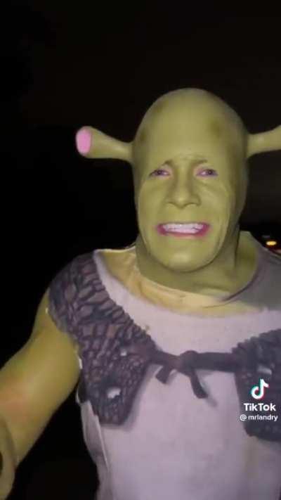 Shrek needs you to say the Shrek word.