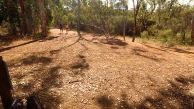 Most sneaky sex we ever had, right at the path with people walking by!