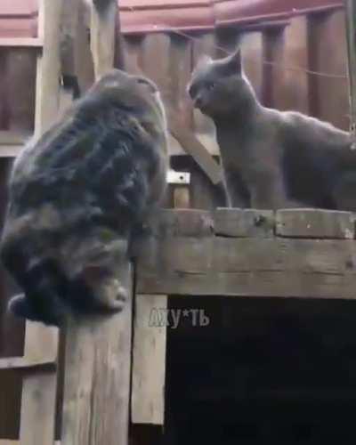 Is this place a good place to do this?