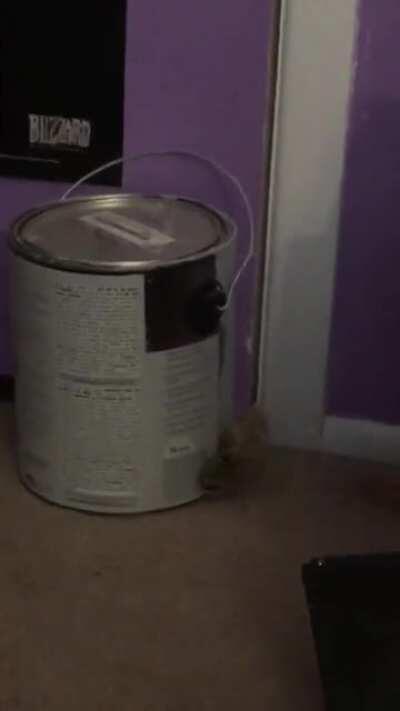 Trying to breach the barricade