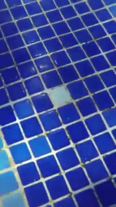 *Incoherent mumbling*