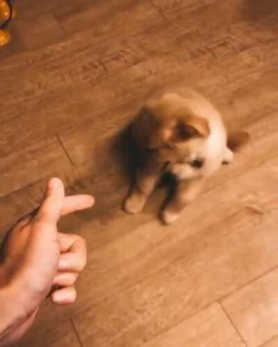 Best Actor of the year 2020