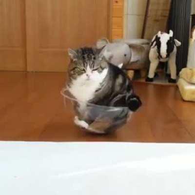 If I fits, I sits