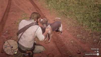 I just wanted to pet the dog...