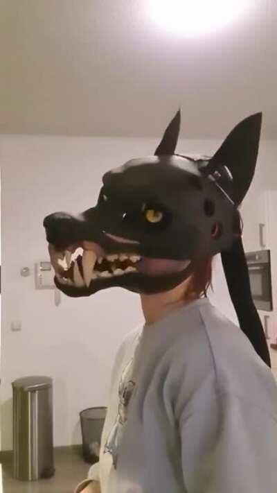 This dog-like mask