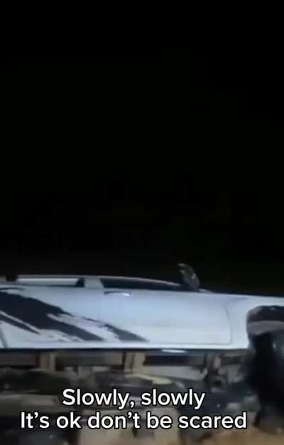 Men Heroically Rescue Trapped Chinese Workers from Flooded Car in Al-Shamli, Saudi Arabia