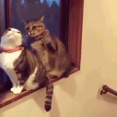 LET ME LOVE YOU [OC]