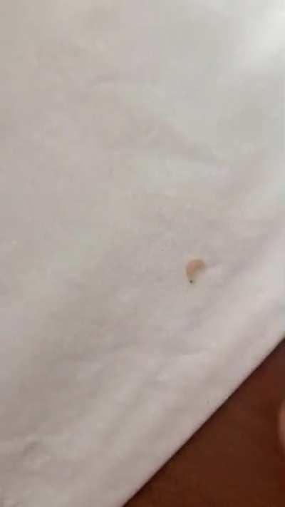 Soaking fruits in water is a healthy habit