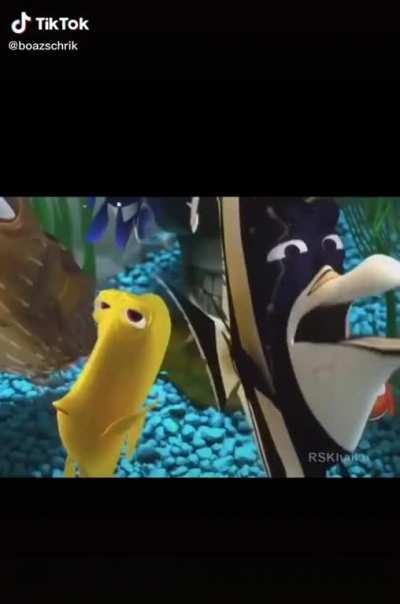 MemeVideos - Video #7422