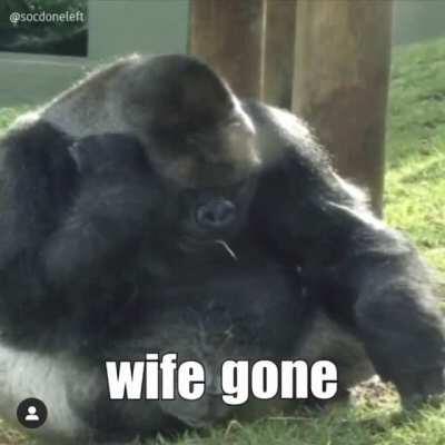 Ride wife, life good