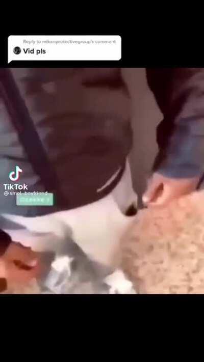 REAL FOOTAGE OF SKEPTA PULLING UP ON HIS OPPS‼️