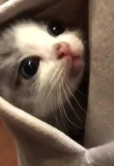 Small enough to fit in your pocket