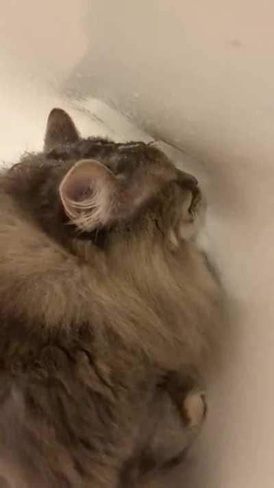 This is the only way she’ll drink water