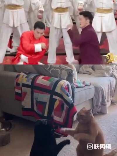 叶问战狼大乱斗