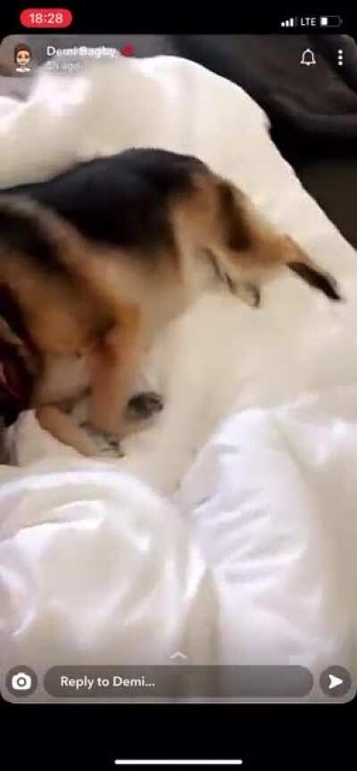 Possible a lil nip slip action