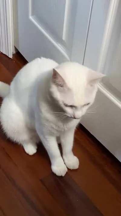 I love a nice peaceful morning at work with absolutely nothing disturbing me! 🥰