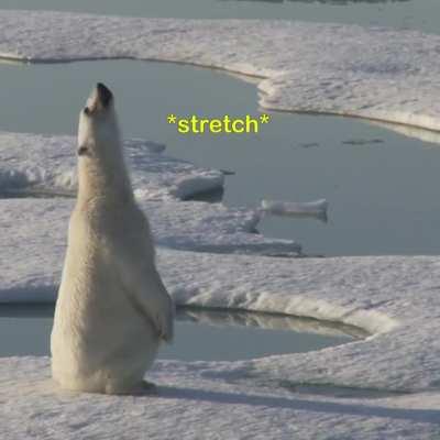 Showing the polar bear some love!