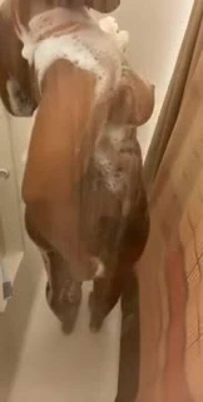 I got a whole gallery of her