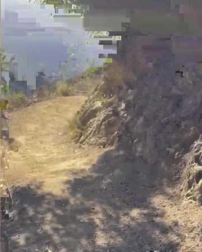 Woman encounters mother black bear and cubs on a trail