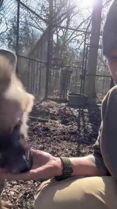 Yeen happily accepts EGG 🥚♥️