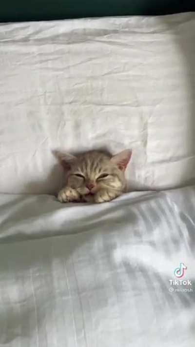 When your alarm goes off but your bed is too comfy.