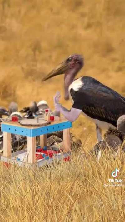 new models have hands