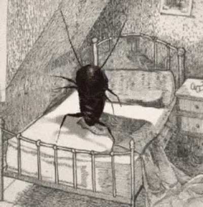 Can someone give me a new phone wallpaper???