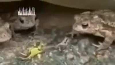 En efecto, esto es cine 🚬