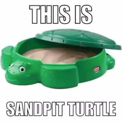 This is the sandpit turtle caw caw