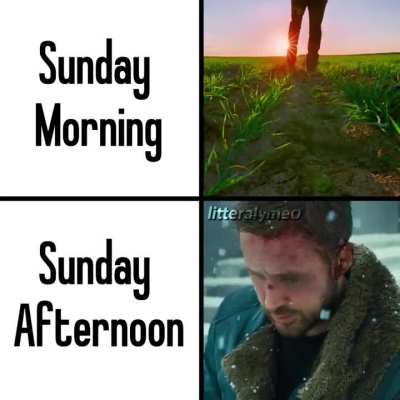 Sunday evenings hit different (in a bad way)