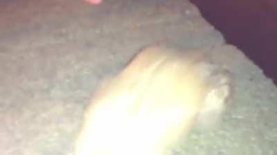 Please do not suicide