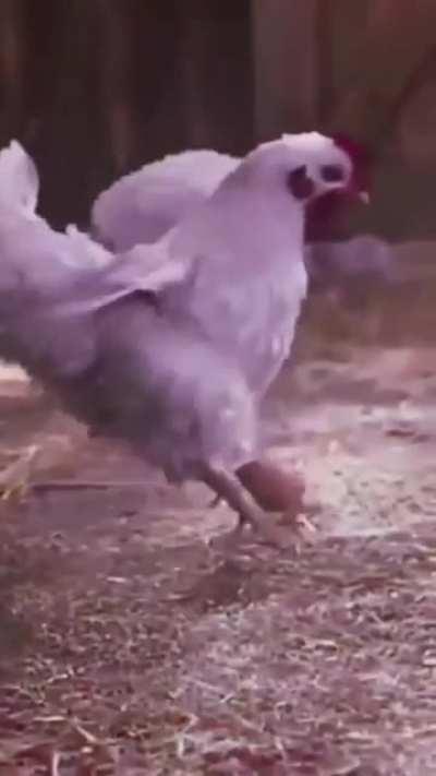 TREINADA PELO PROPIO CR7