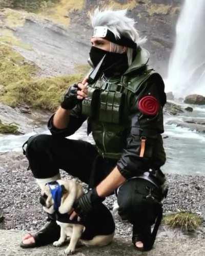 [Self] Kakashi - Never underestimate the power of the Pug ! 🐶✨