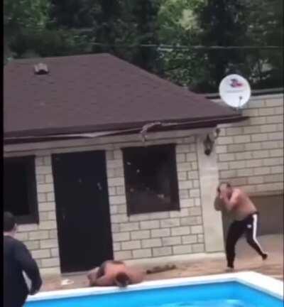 Guy jumping off roof to pool doesn’t jump far enough and lands on his face.