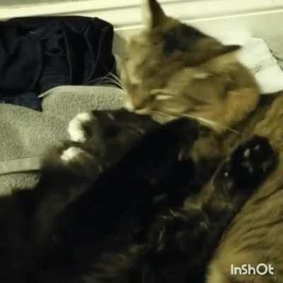 Revenge comes after nightfall