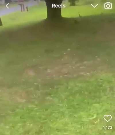 ONE HIT, ONE HIT, ONE HIT