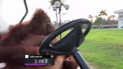 F1 driver, everyone’s saying he’s the quickest n’ tha, puts in the fastest lap, turns out…