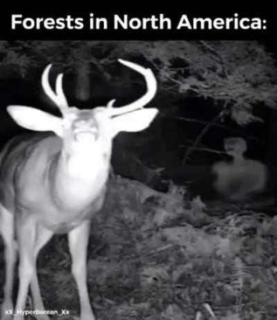 Guys this is not a joke things in Appalachia have escalated. We need some druids and witchs ASAP!