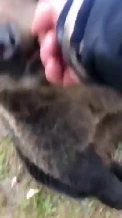 now i want a bear too