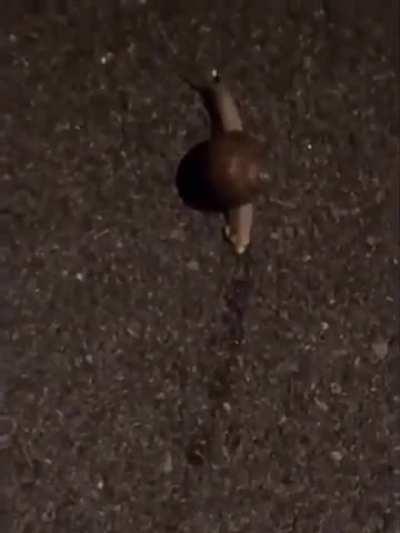 Back to square one (was told this belongs here)