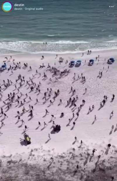 The drug dog arrives on Panama City Beach