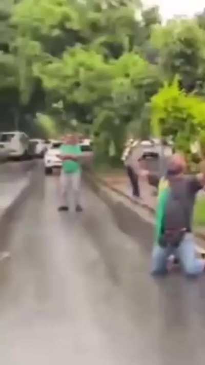 PEC da Blindagem/Bandidagem explicada com gatinhos.