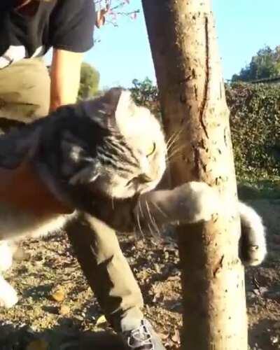 The landlord is trying to evict me. Help!