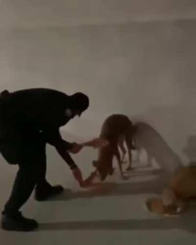 Be kind whenever possible. It is always possible