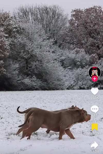 Found in the wild. Don’t even know what to say. 