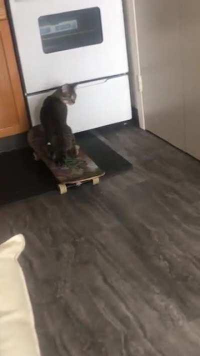 My little ball of insanity has apparently picked up a new skill